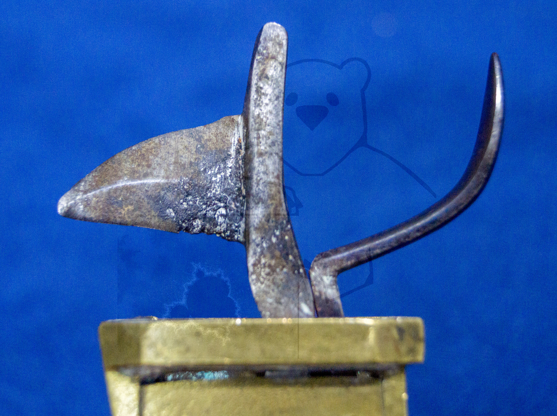 Aderlass Schnepper, ca.1850, Klinge im Detail, hinten